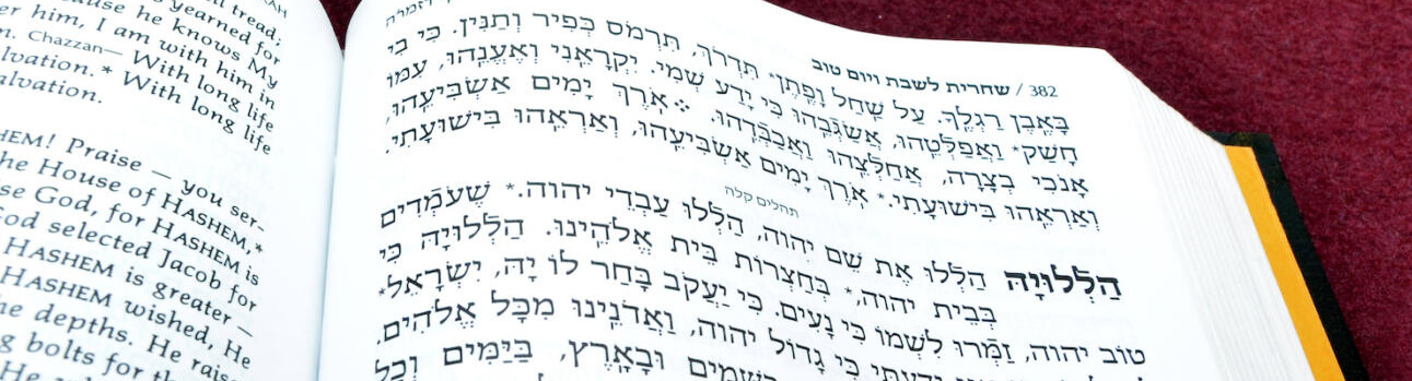 rabbi krohn tisha bav coloring pages - photo #16